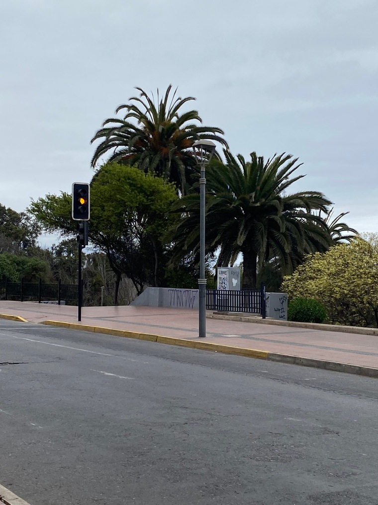 Constanza V Droguett cover image