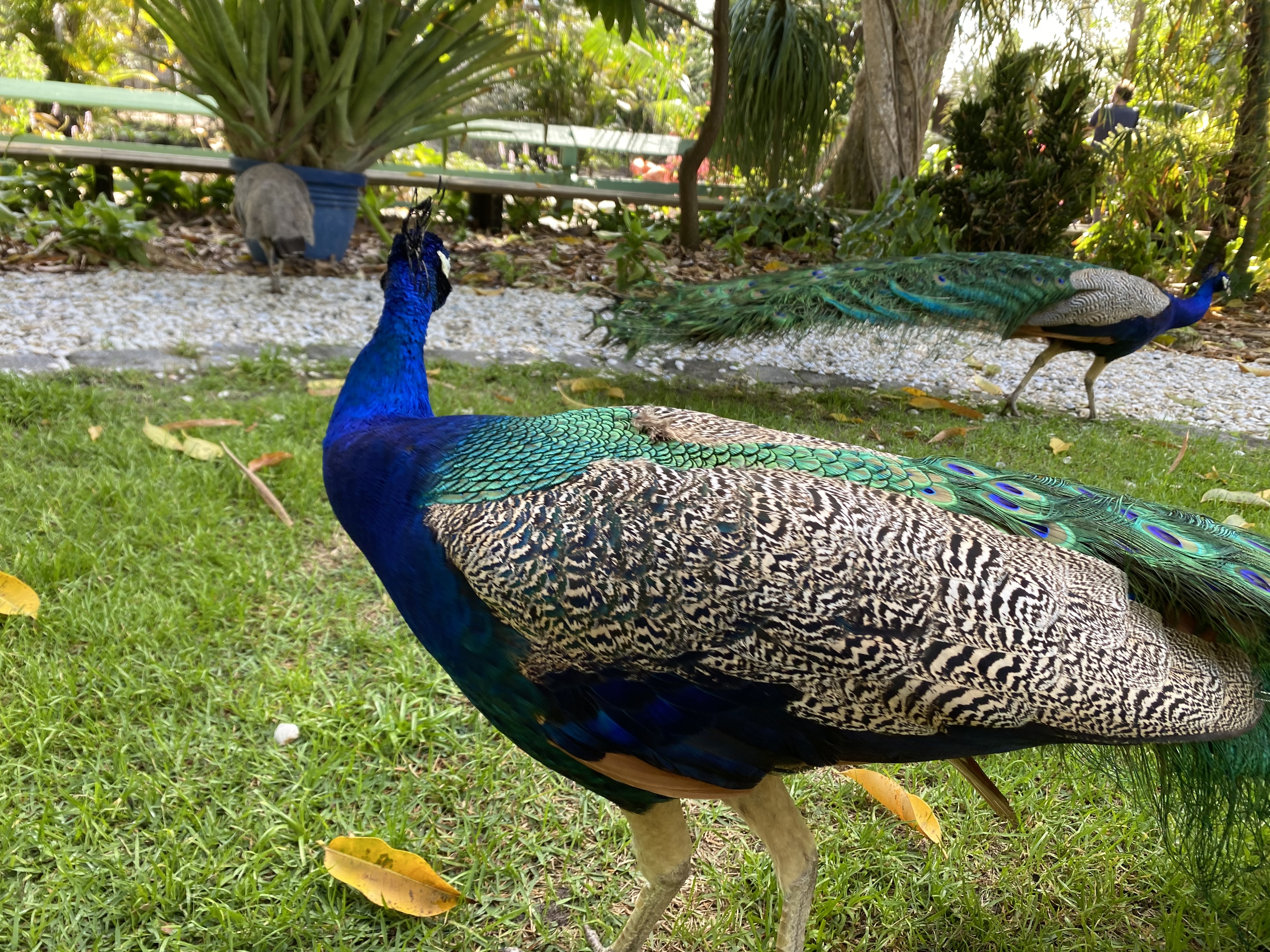 BabyP๐บ banner image