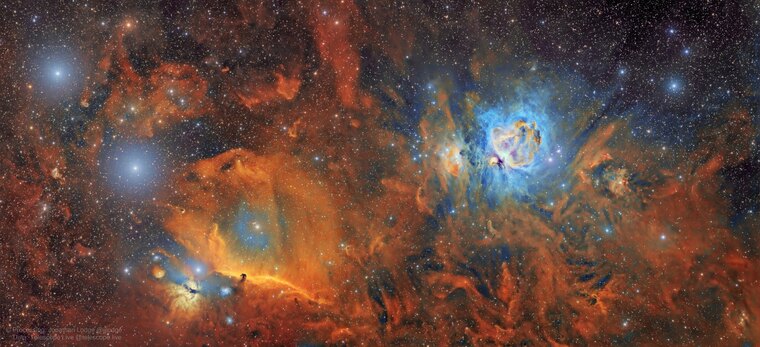 Rowan Orion cover image