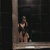 Stella 🪷 avatar