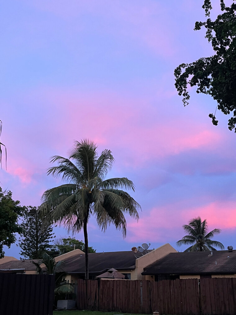 Shia💖 banner image