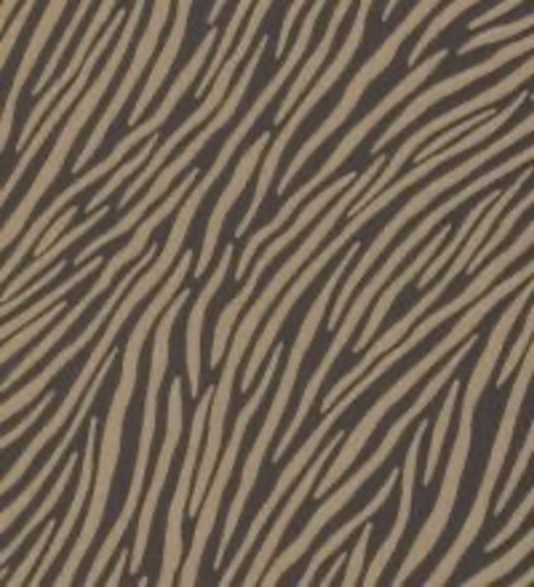 baby girl banner image
