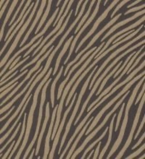 baby girl cover image