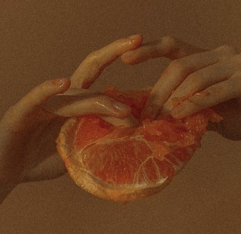 Venus ✨ cover image
