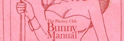 Bunny cover image