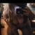 Aves avatar