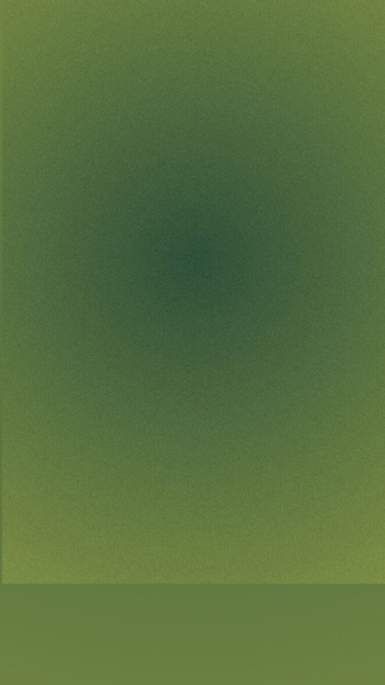 Ducky cover image