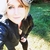 BEE avatar