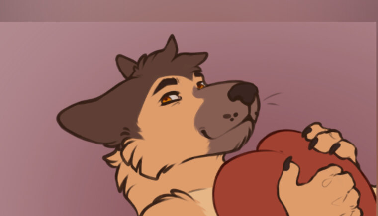 Banjo banner image