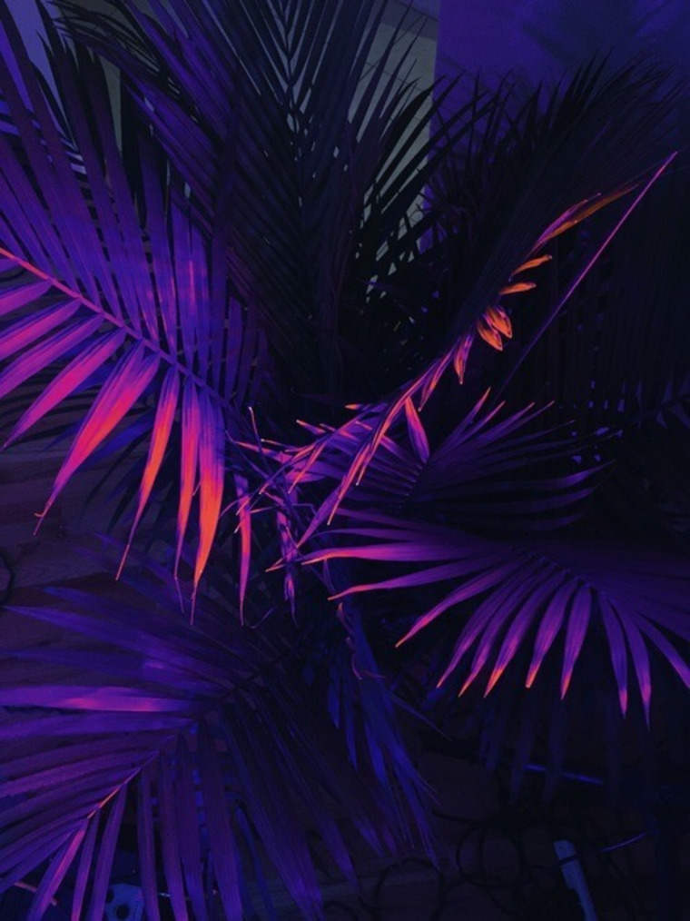 badgaillulu cover image