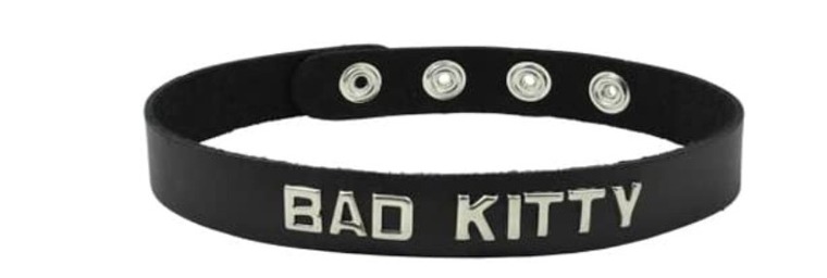 badkittyB banner image