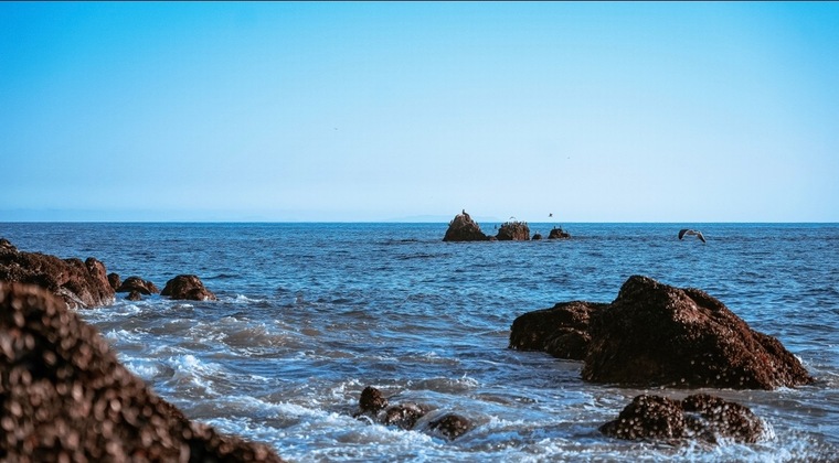 Nijah cover image