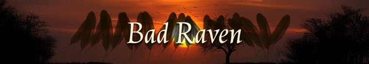 Bad Raven banner image