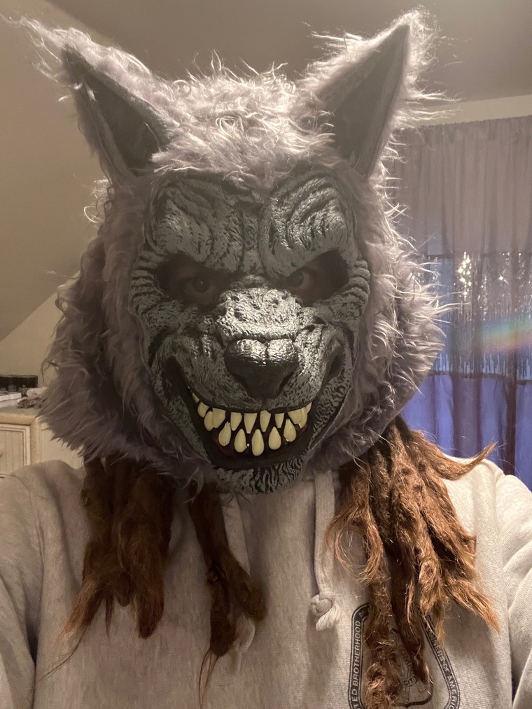 Badwolf123 cover image