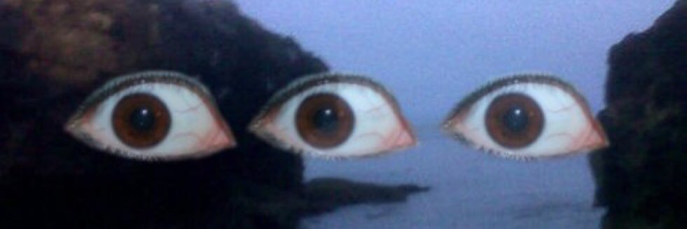 Bailey Jay banner image