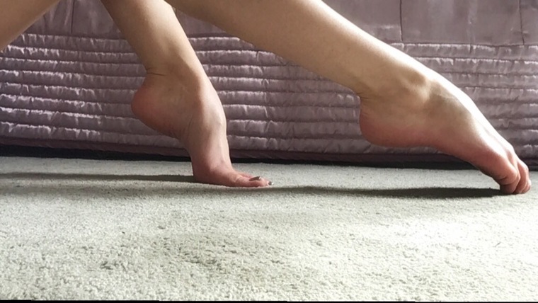 ballerinapiggies cover image