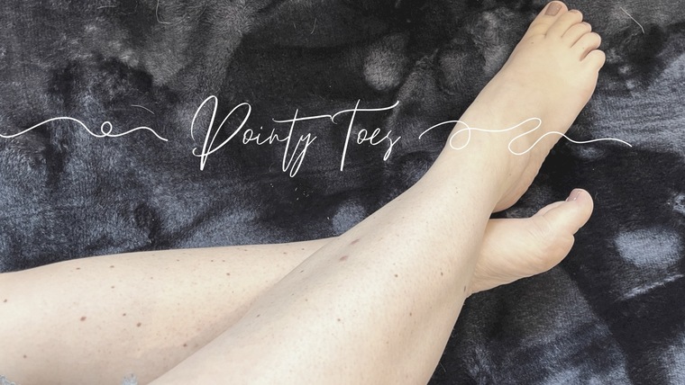 Miss. Pointy Toes banner image