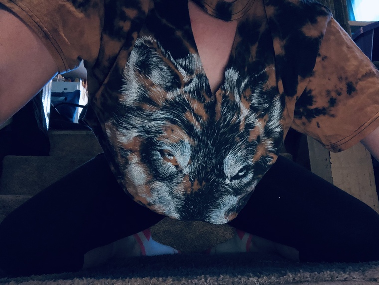 Lulu cover image