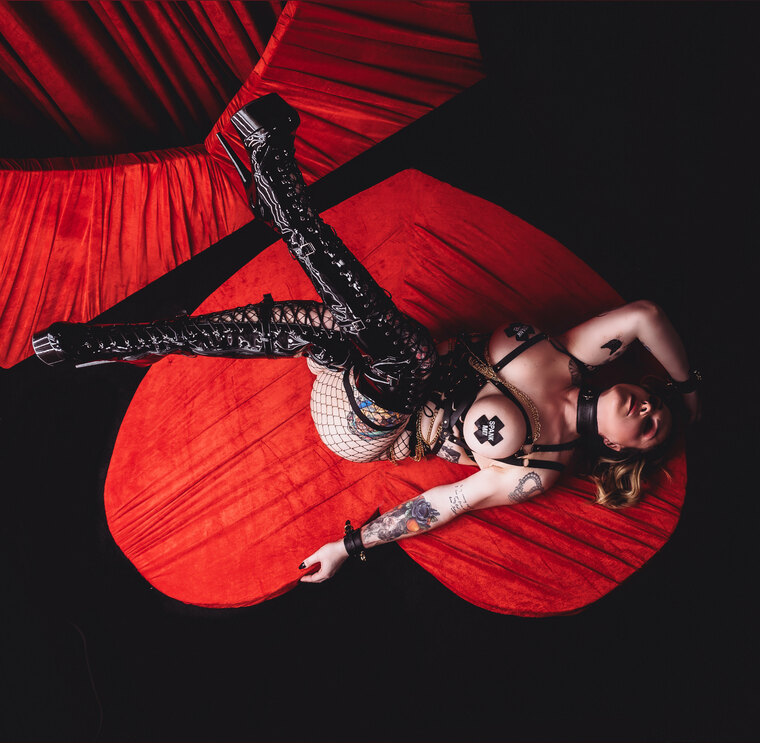 Bam Bam Bambi banner image