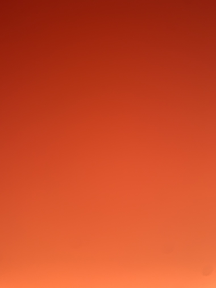 Bambi cover image