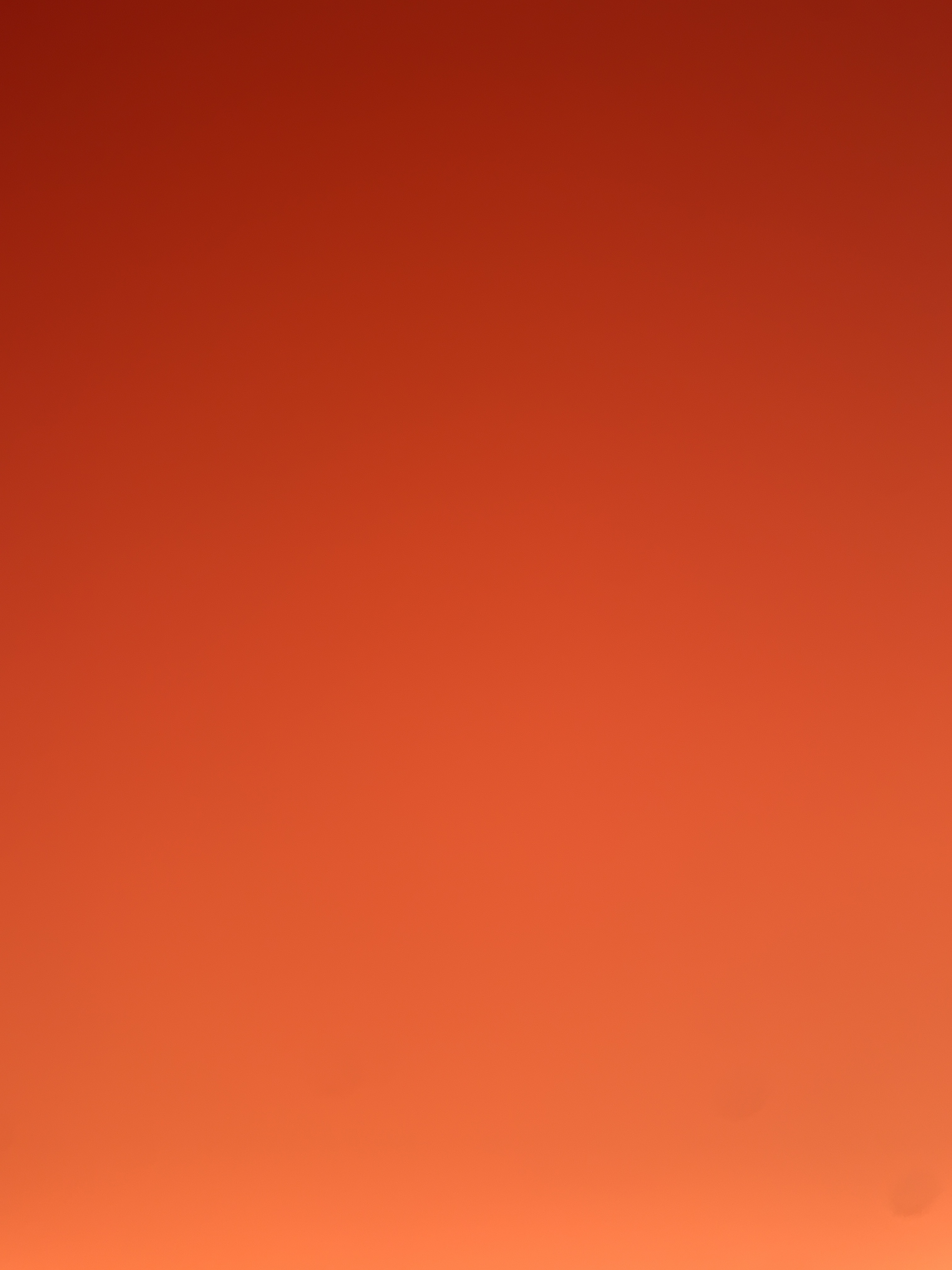 Bambi banner image