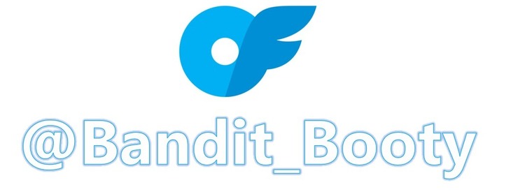 Bandit_Booty banner image
