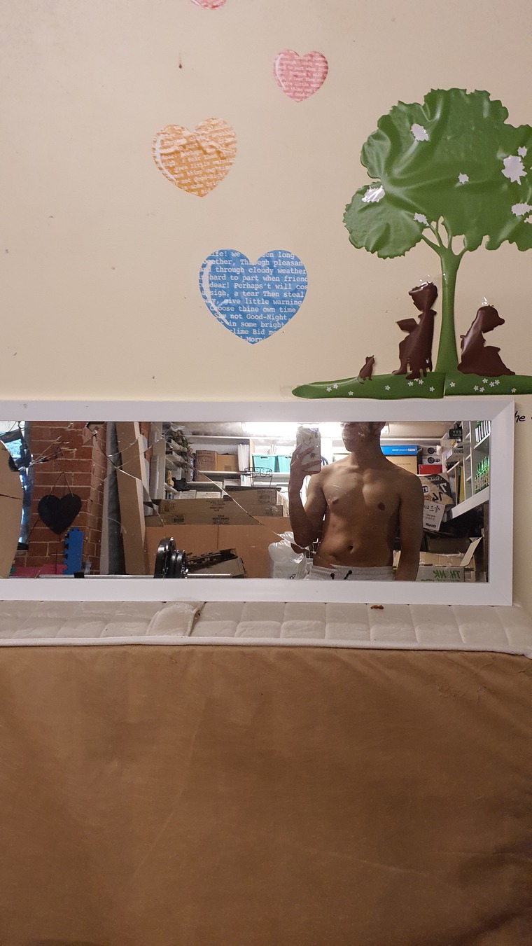 Bangaroot banner image