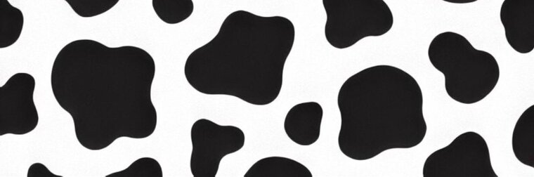 BangItsSummer!๐ธ banner image