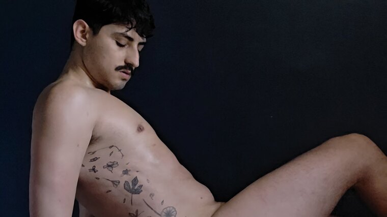 Barbarino banner image