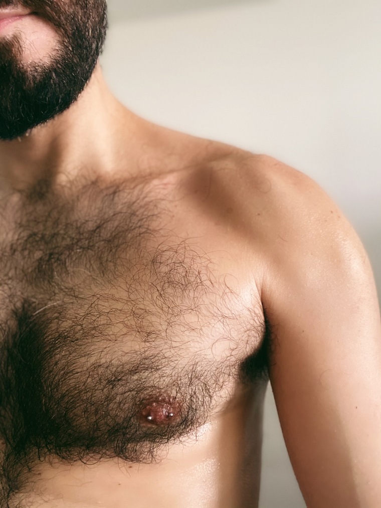 barbudopeludosp cover image