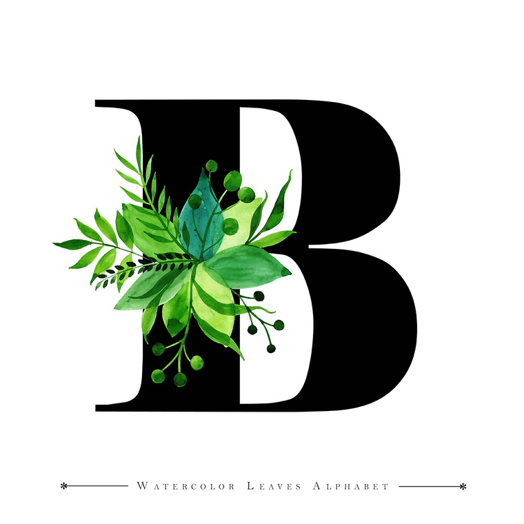 BarbyBeaw cover image