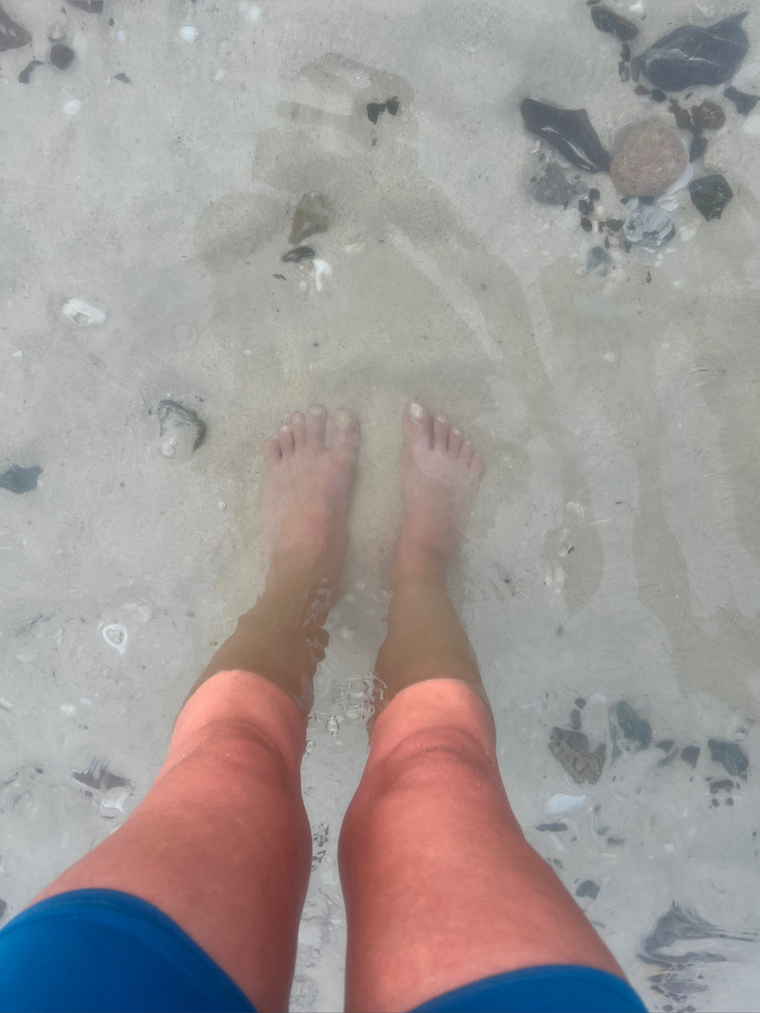 Bare Ballet Feet banner image