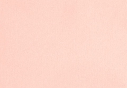 bfbunnyyyyyy cover image