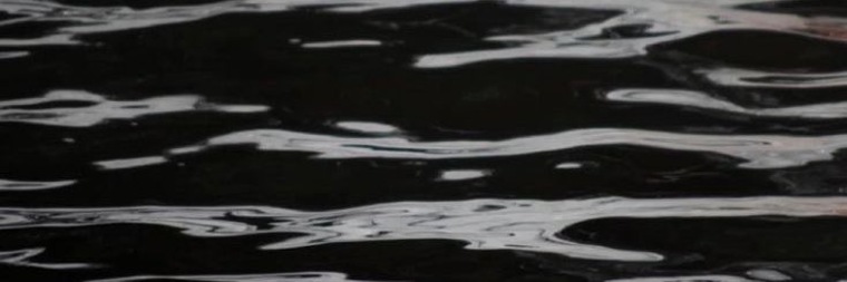 Bareebunnyy cover image