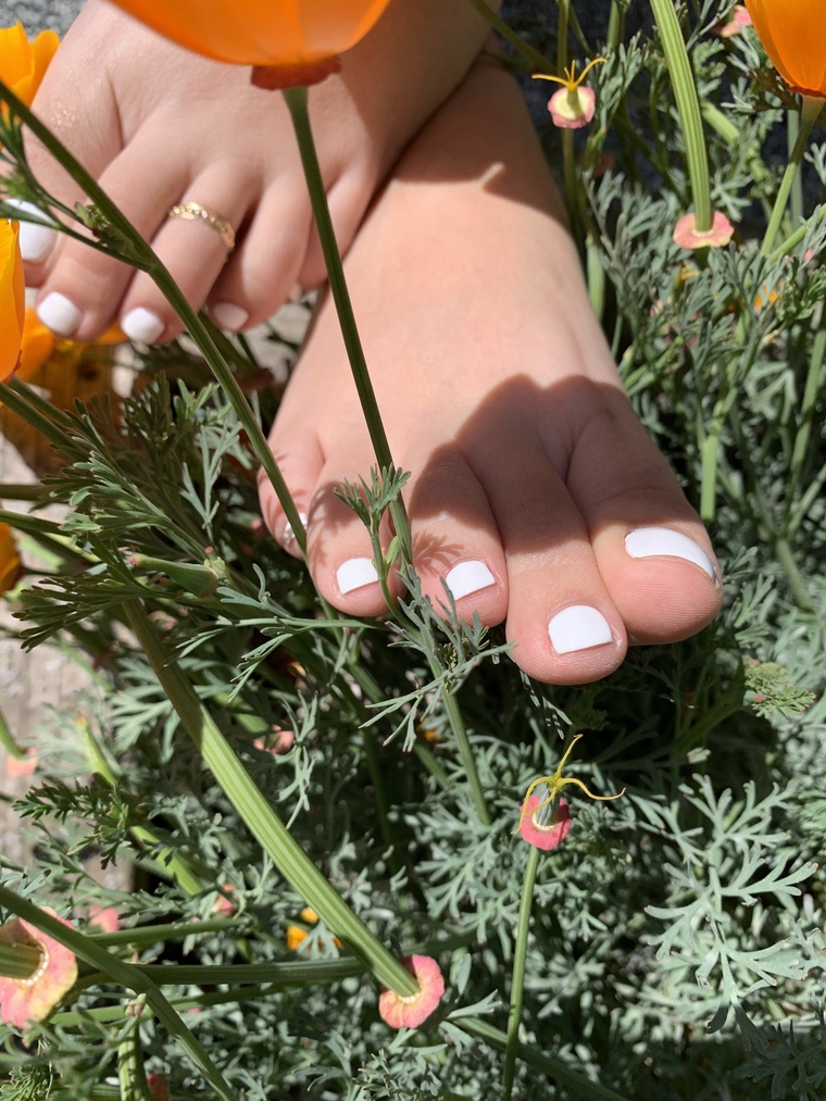 Barefoot bunny banner image