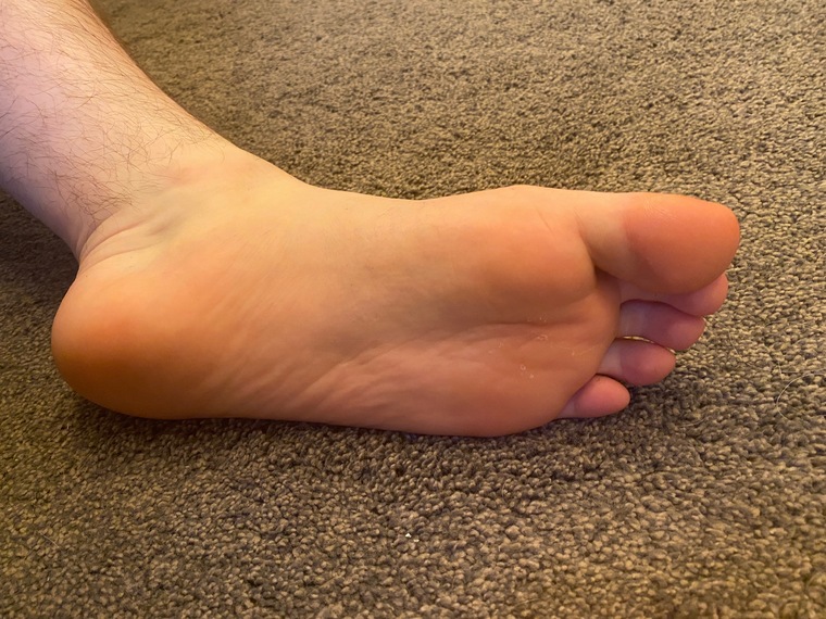 Barefoot bunnies cover image