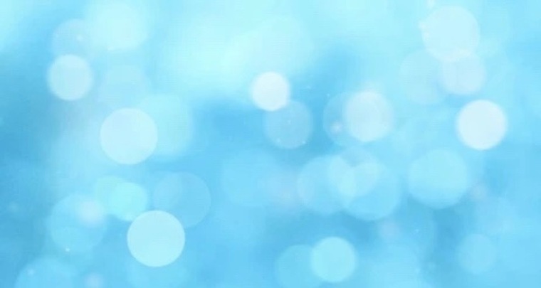 Barefoot Bunny π° banner image