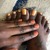Bri the Barefoot Bunny avatar