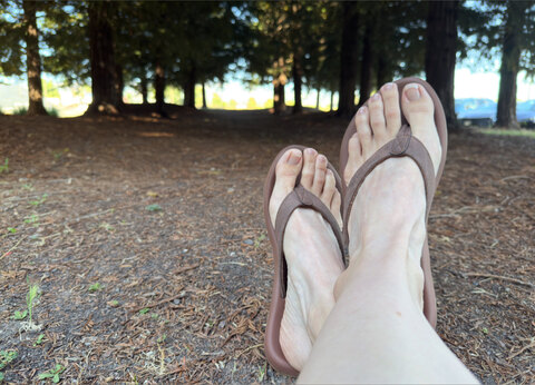 BarefootDevotion cover image