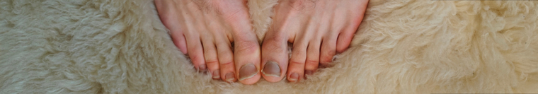 BarefootDutchman cover image