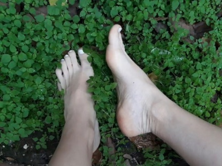 Four Barefoot Girls banner image