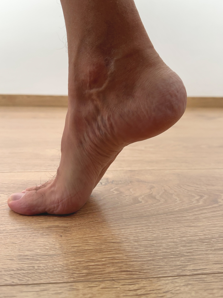 Barefoot Greek banner image