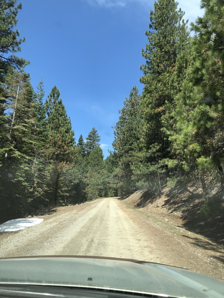 BarefootMtns cover image