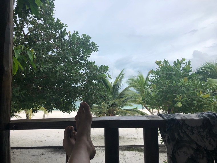 Barefoot Venus cover image