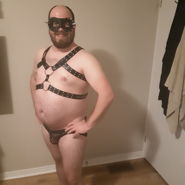 BareFunBear banner image