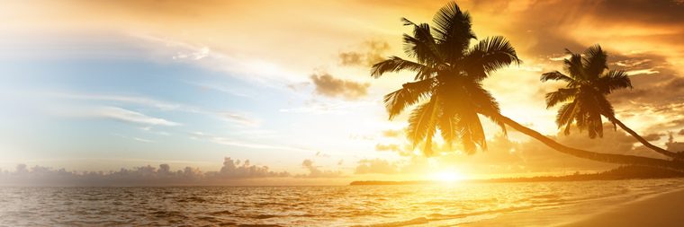 BareMuse22 banner image