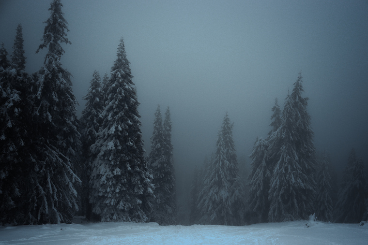 Kristýna cover image