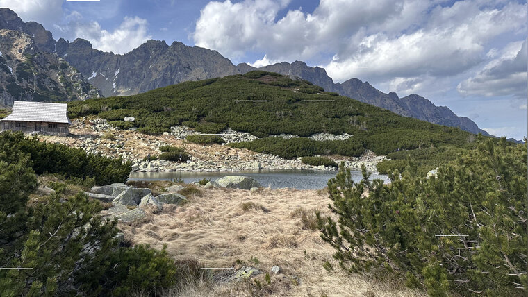 Basiu cover image