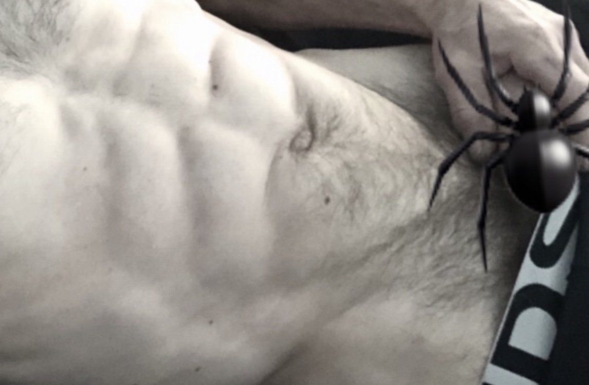 Dardz banner image