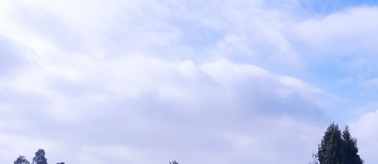BatiJago banner image